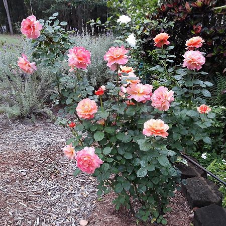 Riviera Bed & Breakfast Gold Coast Extérieur photo